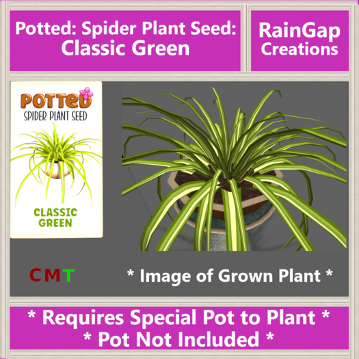 Second Life Marketplace Potted Spider Plant Seed Classic Green